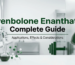 Trenbolone Enanthate Dosage Guide